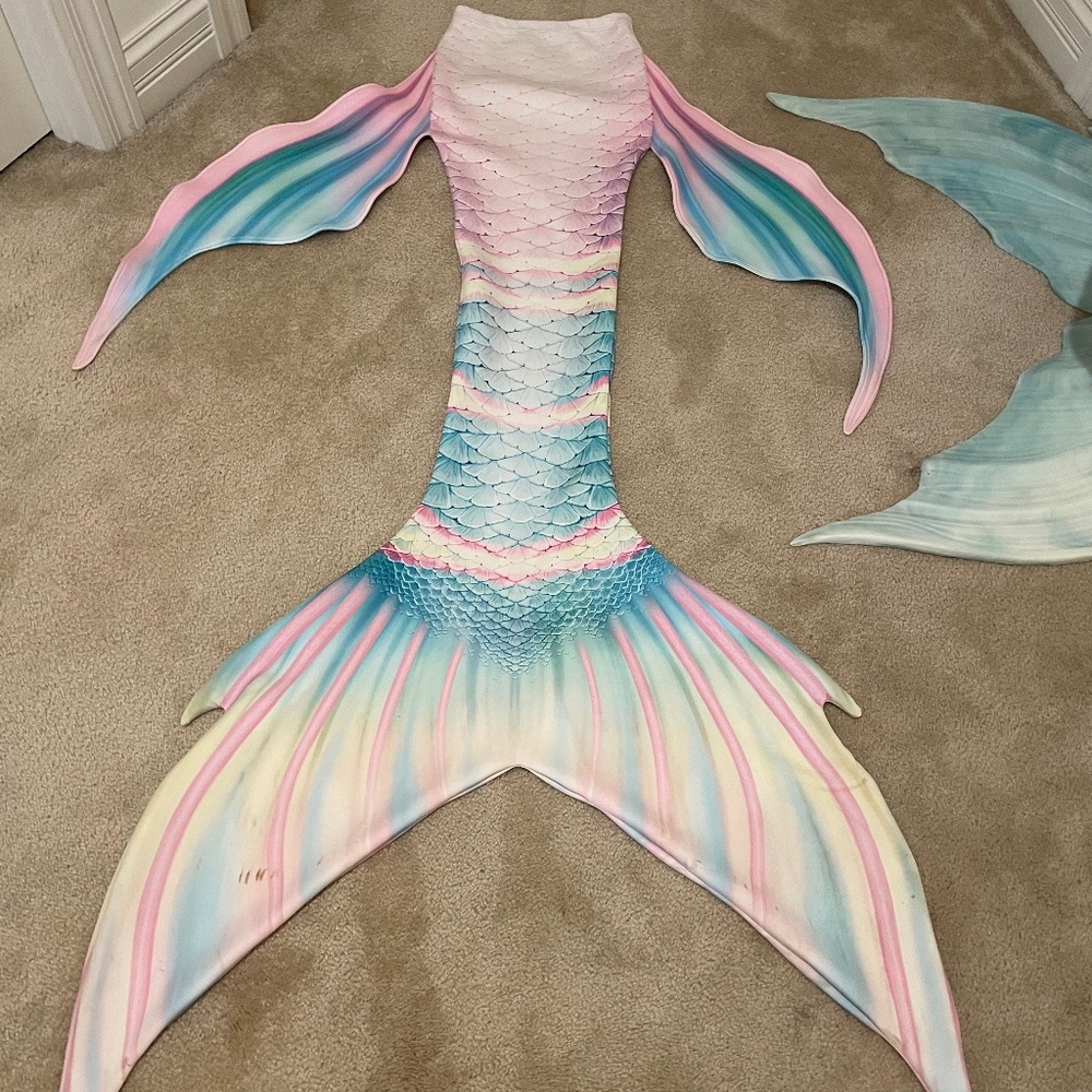 Mertailor custom cotton candy wrasse